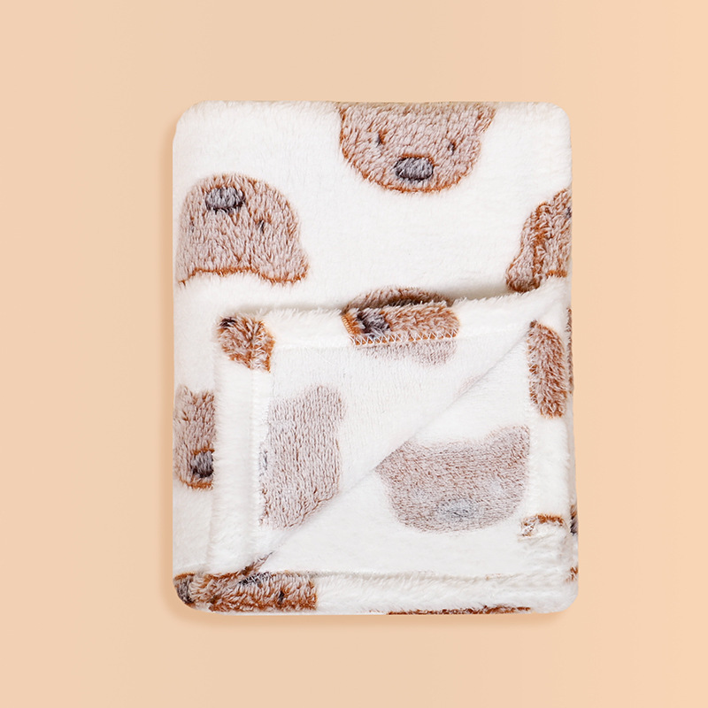 Childrens Flannel Blanket, Thickened Kindergarten Nap Blanket For Babies