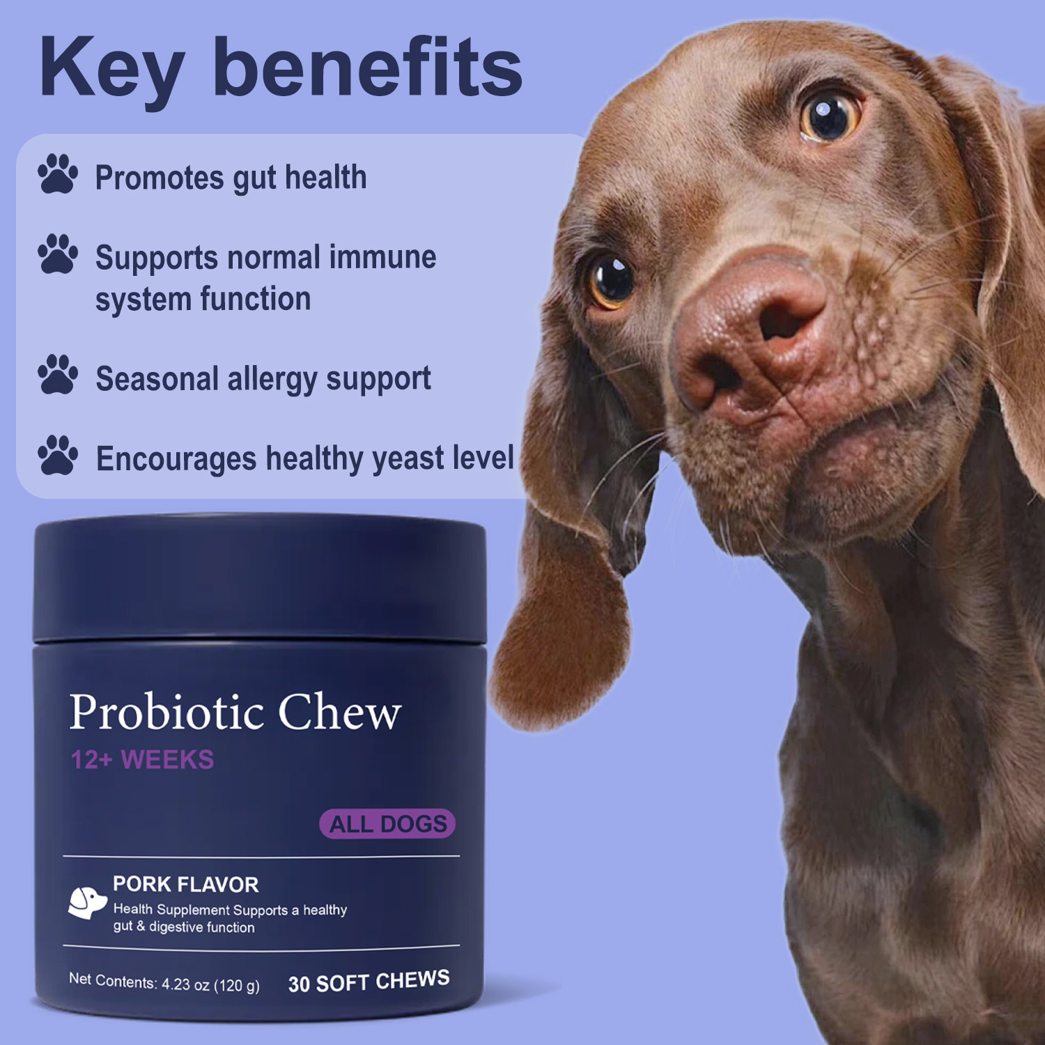 22-In-1 Dog Multivitamin for Skin Joints