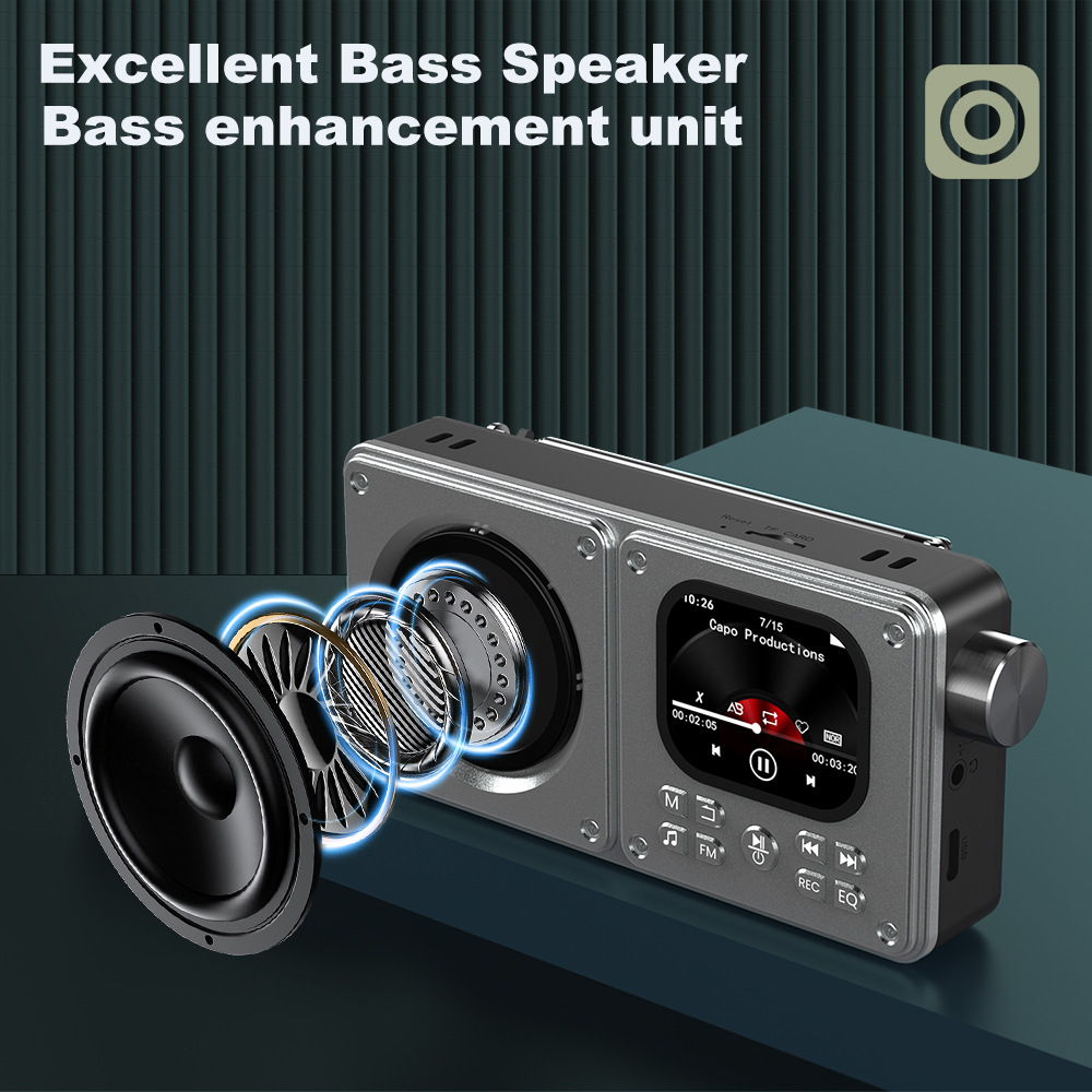 Player with Bluetooth Speaker